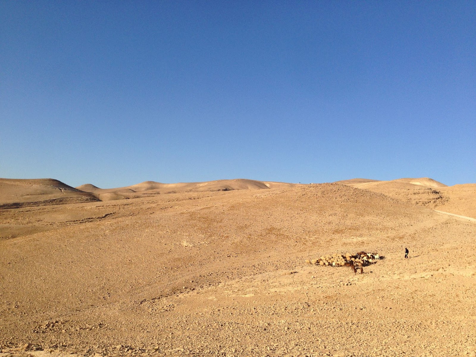 クリスチャン・教会向けのイスラエル聖地旅行企画ホーリーランド ツーリストセンタ