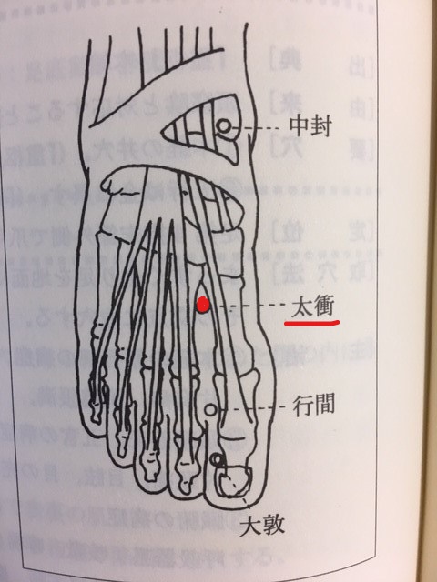 つぼで眼精疲労が解消眼精疲労に効くツボ押しガイド三鷹の自律神経専門 鍼灸院 コモラボ 公式