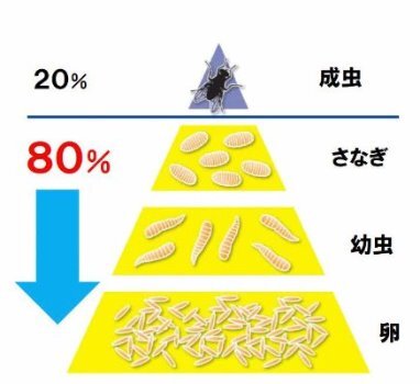 キンチョール ハエ・蚊殺虫剤スプレーマツキヨココカラオンラインストア