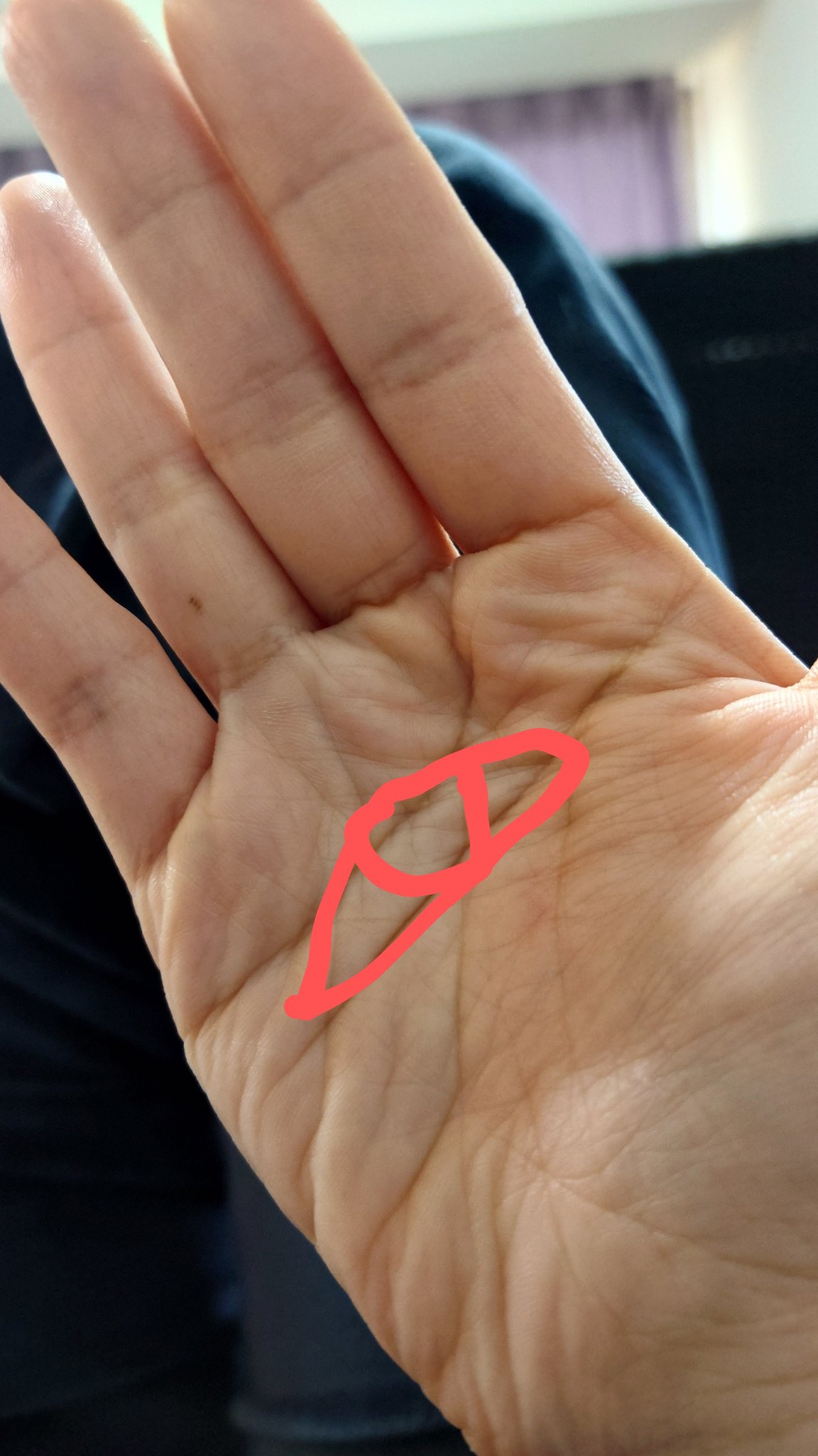 何とかなっちゃうらしい手相 笑 ❣️虹色占い♪星読み&数秘術認定講師のどんな日も虹色ブログ