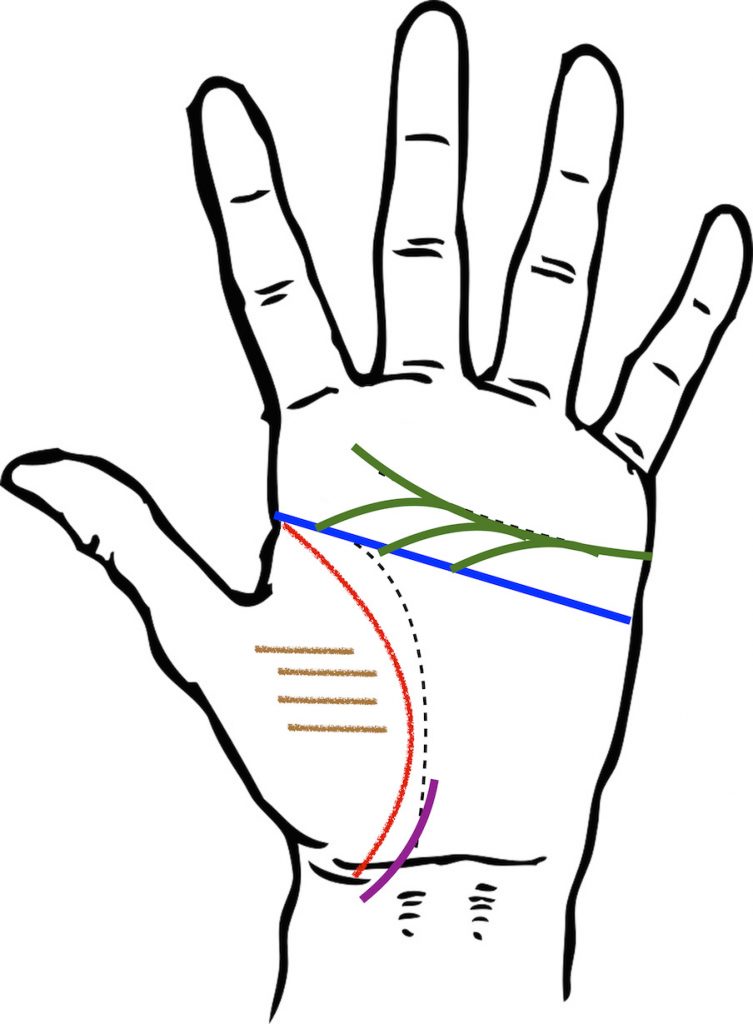 経営者 事業主の手相 放っておけない存在になれる「ラッキー」をありがたく享受する 手首から斜めに伸びる運命線の活用法 - ウントキーネ