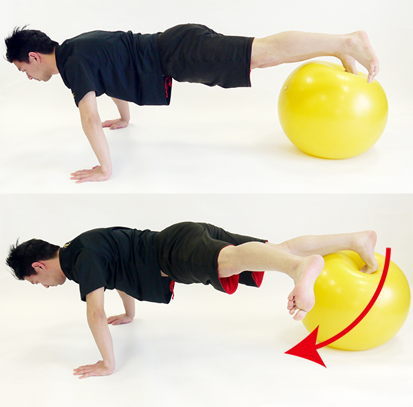 バランスボール 65cm リングとポンプ付ルネサンス公式通販