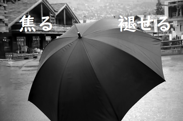 雪歌ユフ CD「褪せる雪華と融解点」