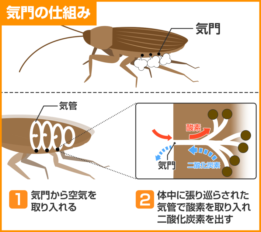 フマキラーゴキブリ超凍止ジェット 210ml殺虫剤フマキラー製品情報サイト
