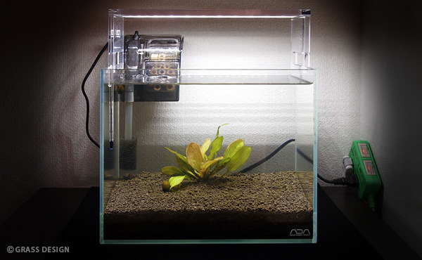 ベタの小型水槽 3L におすすめのフィルター4選！ベタ飼育ガイド