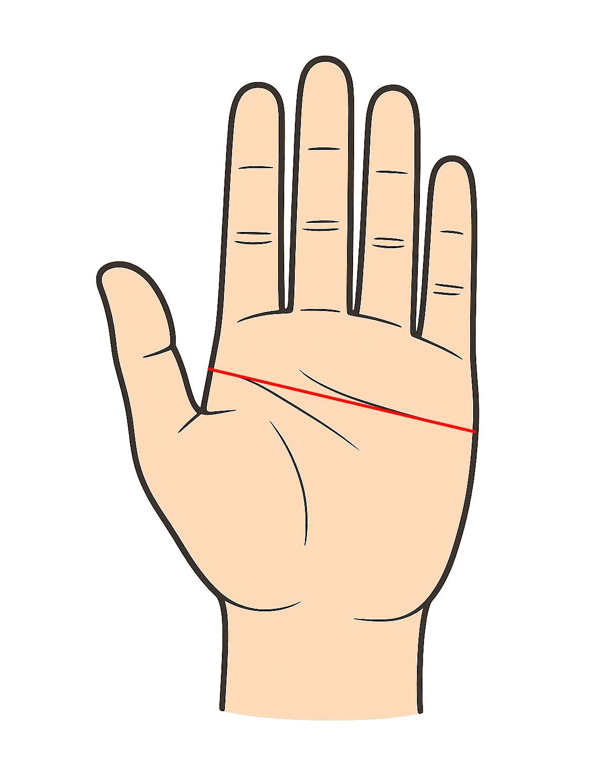 手相の見方 女性は左手？右手？どっちで見るの？手相で見つける私の人生の歩き方國本ヒロミ