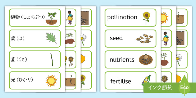 119,582 多年生植物 Stock Photos, High-Res Pictures, and Images - Getty Images