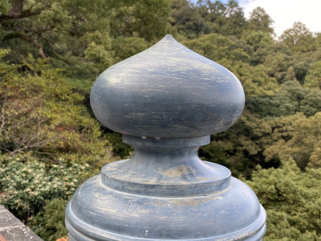 帰ってきた玉ねぎ