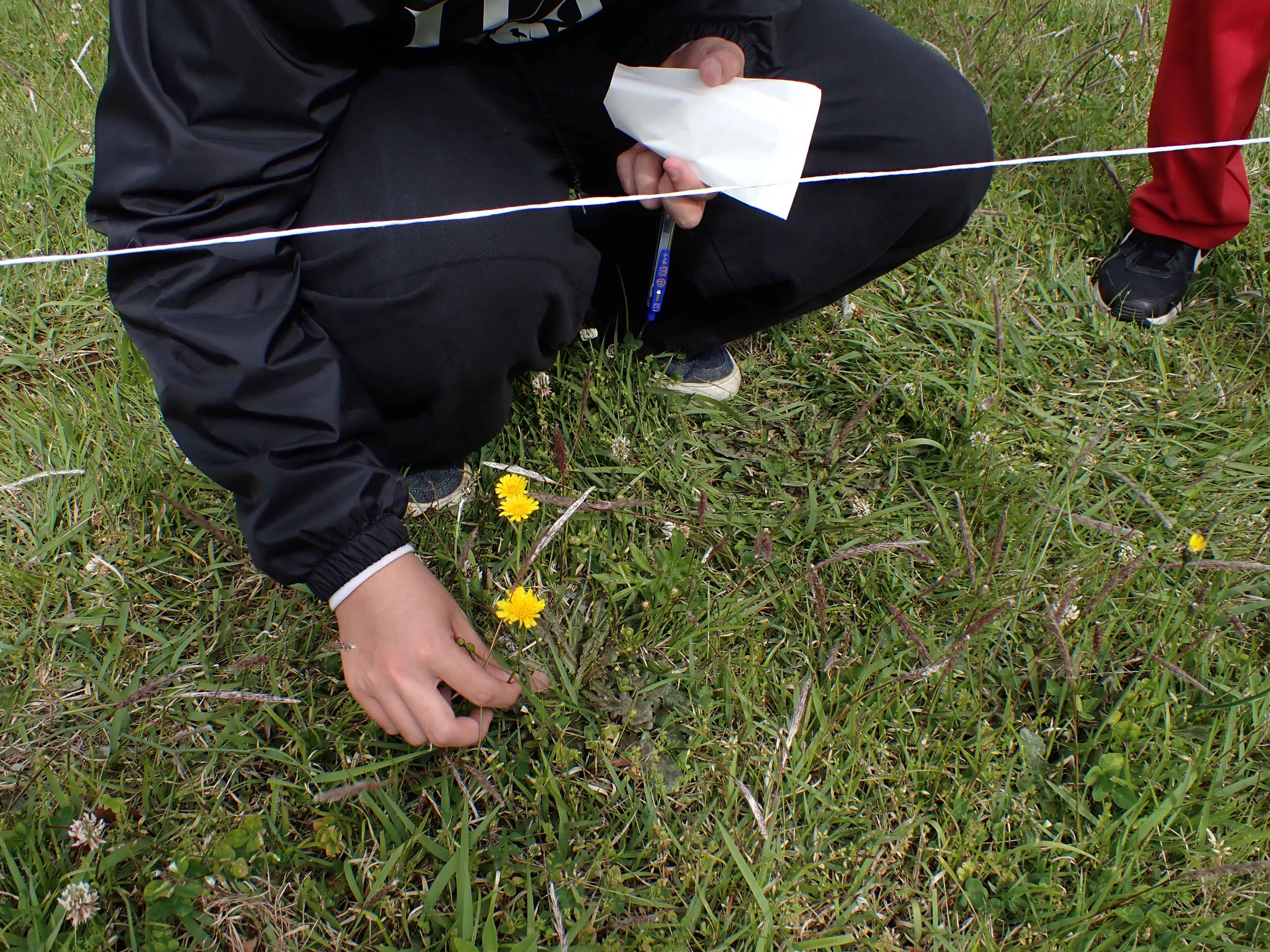 飛散花粉数の測定方法と花粉数の区分東京都アレルギー情報navi