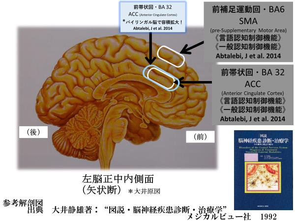 英語学習挫折した方要チェック！ヨガで英語の右脳学習が叶う3つの理由ヨガジェネレーション yogageneration