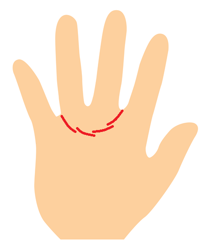 左手・右手の手相の意味！左手で見る仕事や結婚運などの手相占い -セキララゼクシィ