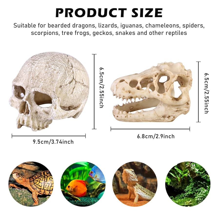 トカゲ人間」のアイデア 140 件トカゲ, エルダースクロール, レプティリアン