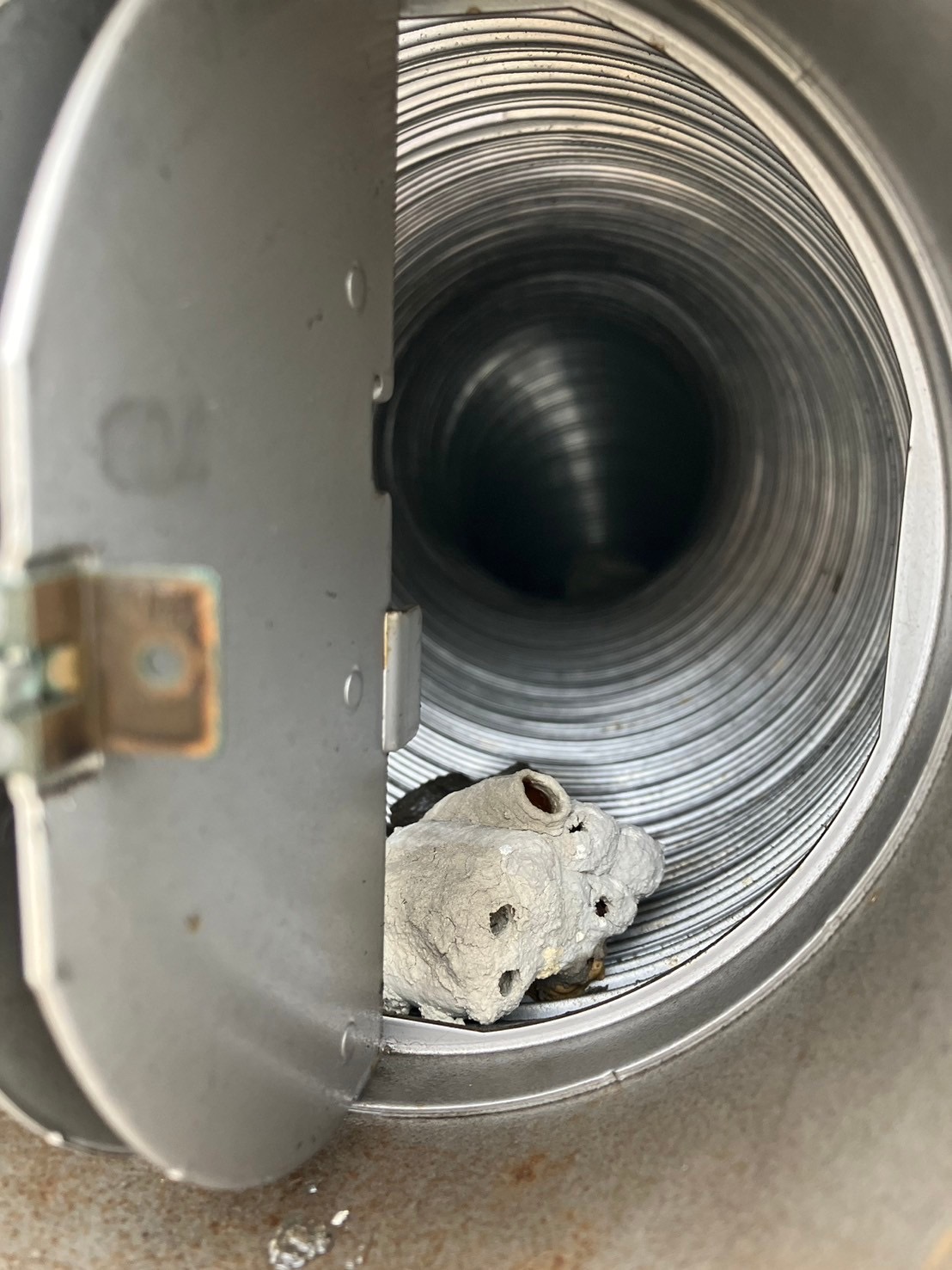 通気口を狙って蜂の巣が！ハチ退治マニュアル～プロが教える蜂の巣予防と対処の完全ガイド蜂バスタ