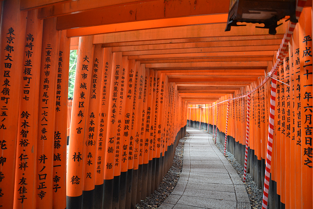 北野坂鳥居歯科医院 神戸市中央区 三ノ宮駅 ドクターズ・ファイル