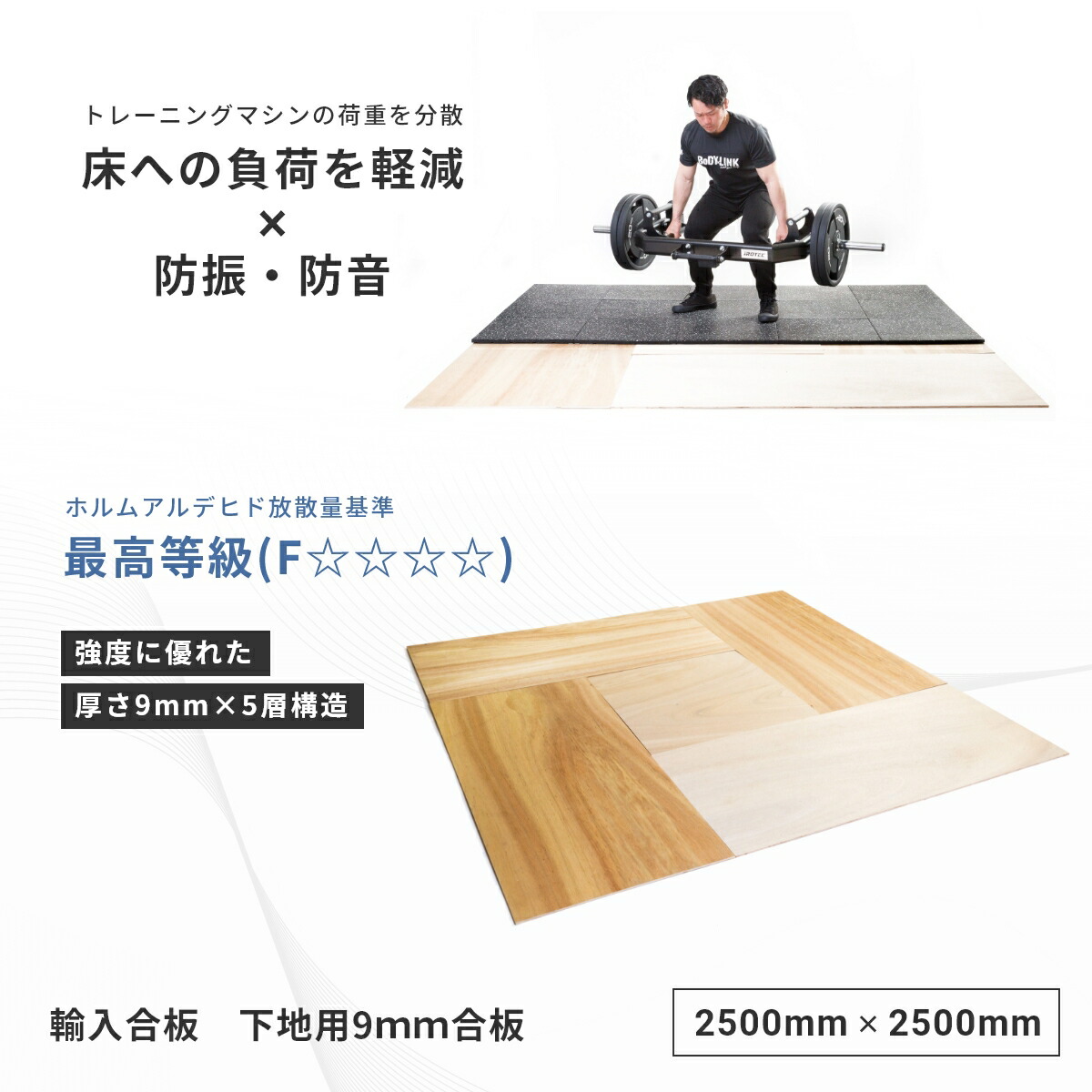 モダンスタイルのおしゃれなホームジムの画像 75選 - 2025 年 10月Houzzハウズ