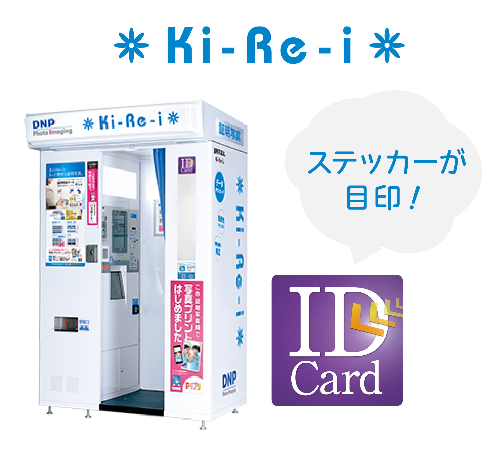 www. kireiworld.com | Kirei World