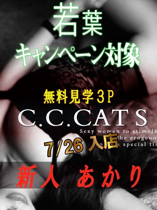 C.C.キャッツ【渋谷M性感】公式 (@cccats_official) / X